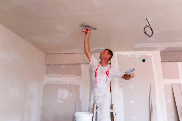 Best Ceiling Drywall Installation  in Locust Valley, NY